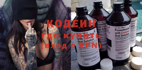 индика Лагань