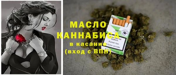 индика Лагань