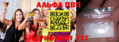 дмт Кингисепп