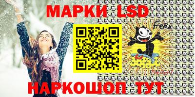 дмт Кингисепп
