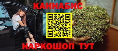 дмт Кингисепп