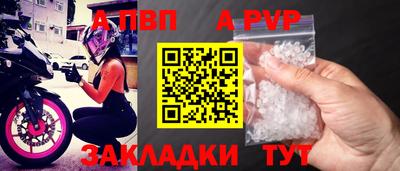 дмт Кингисепп