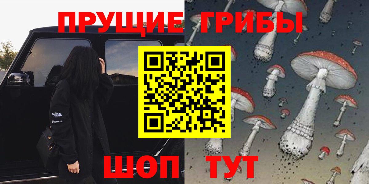 Галлюциногенные грибы Cubensis  Саратов 